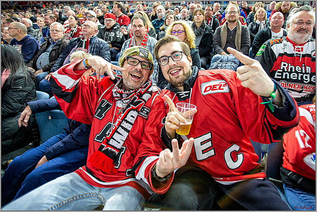 DEL;  Koelner Haie - Duesseldorfer e.G.; Koeln, 03.01.2020